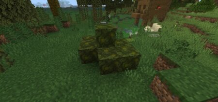 Download The Wild Environment Addon for Minecraft. Bioms Mod