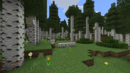 Download Expansive Biomes addon for Minecraft