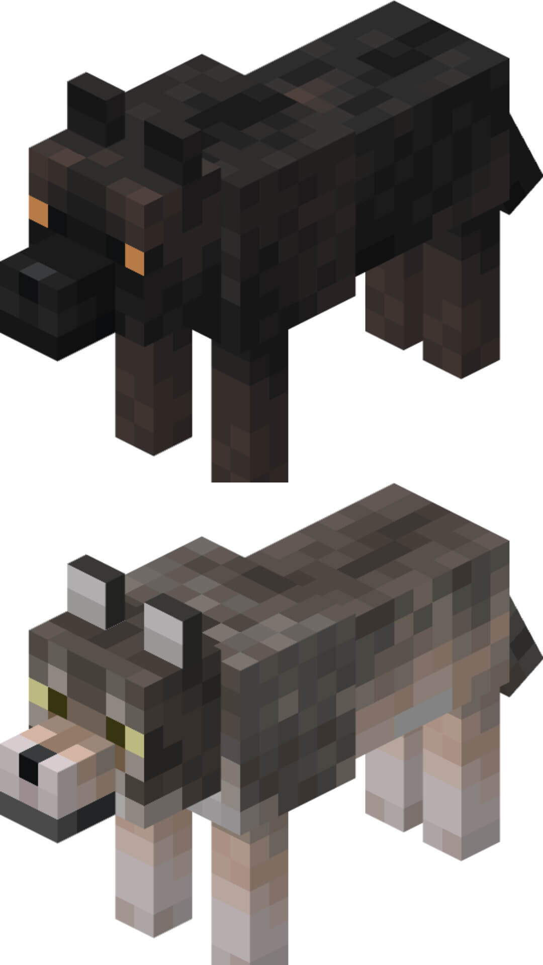 Download addon Taiga Additions in Minecraft. Addon with biomes in Minecraft