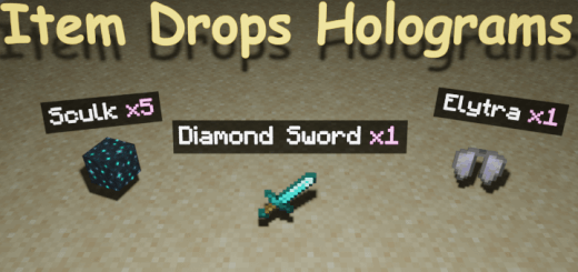 Addon: Holograms On Dropped Items