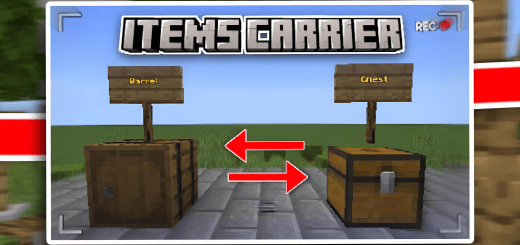 Addon: Items Carrier