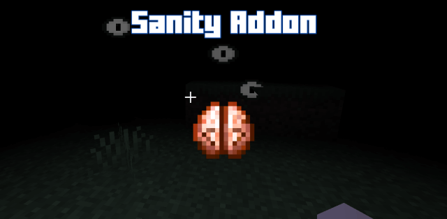 Addon: Sanity