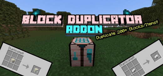 Addon: Block Duplicator