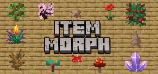 Addon: Item Morph