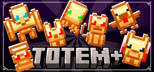 Addon: Totem Plus