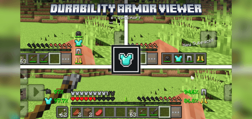 Addon: Durability Armor Viewer