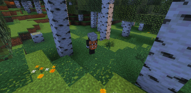 Addon: Travelers Extension
