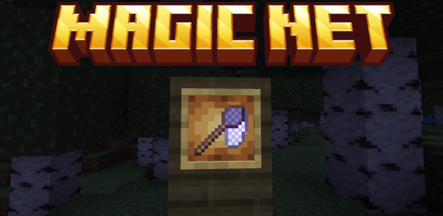 Addon: Magic Net