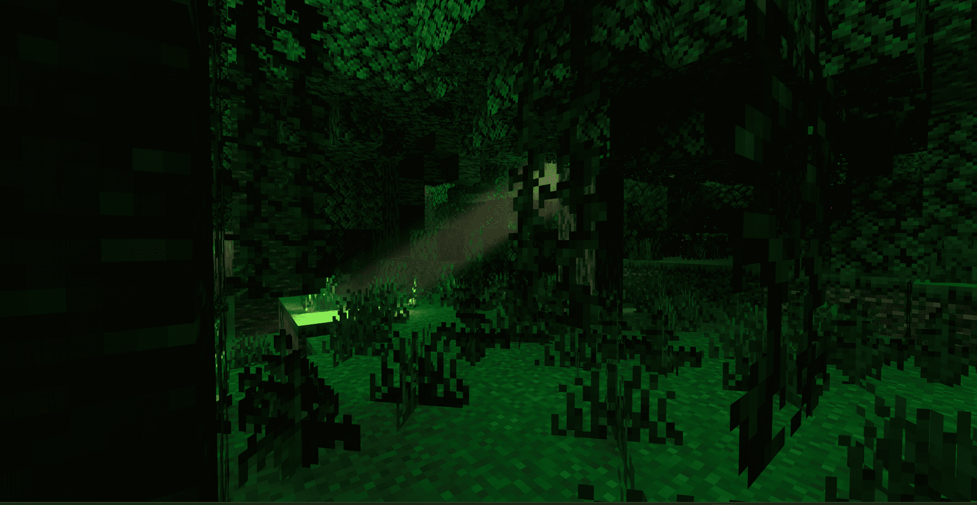 Default RTX 5