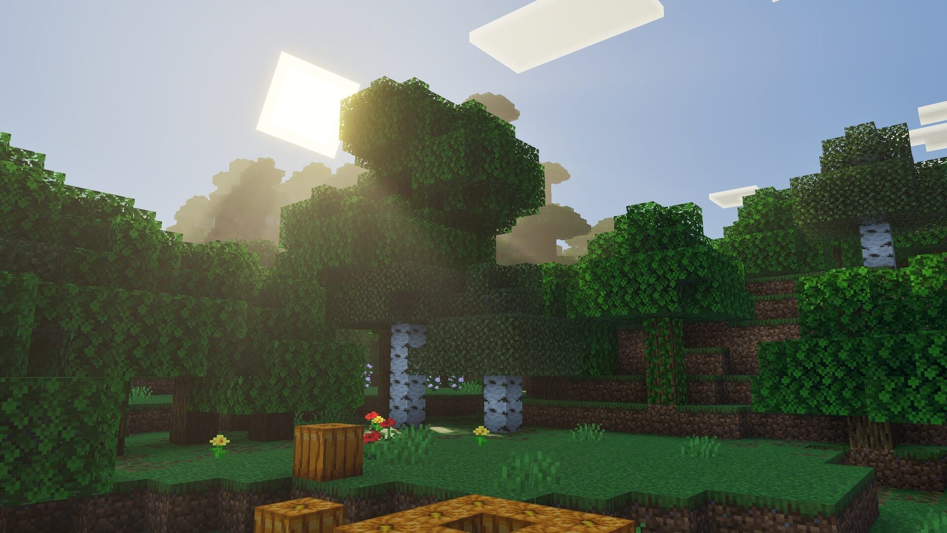 Luminous Dreams 3