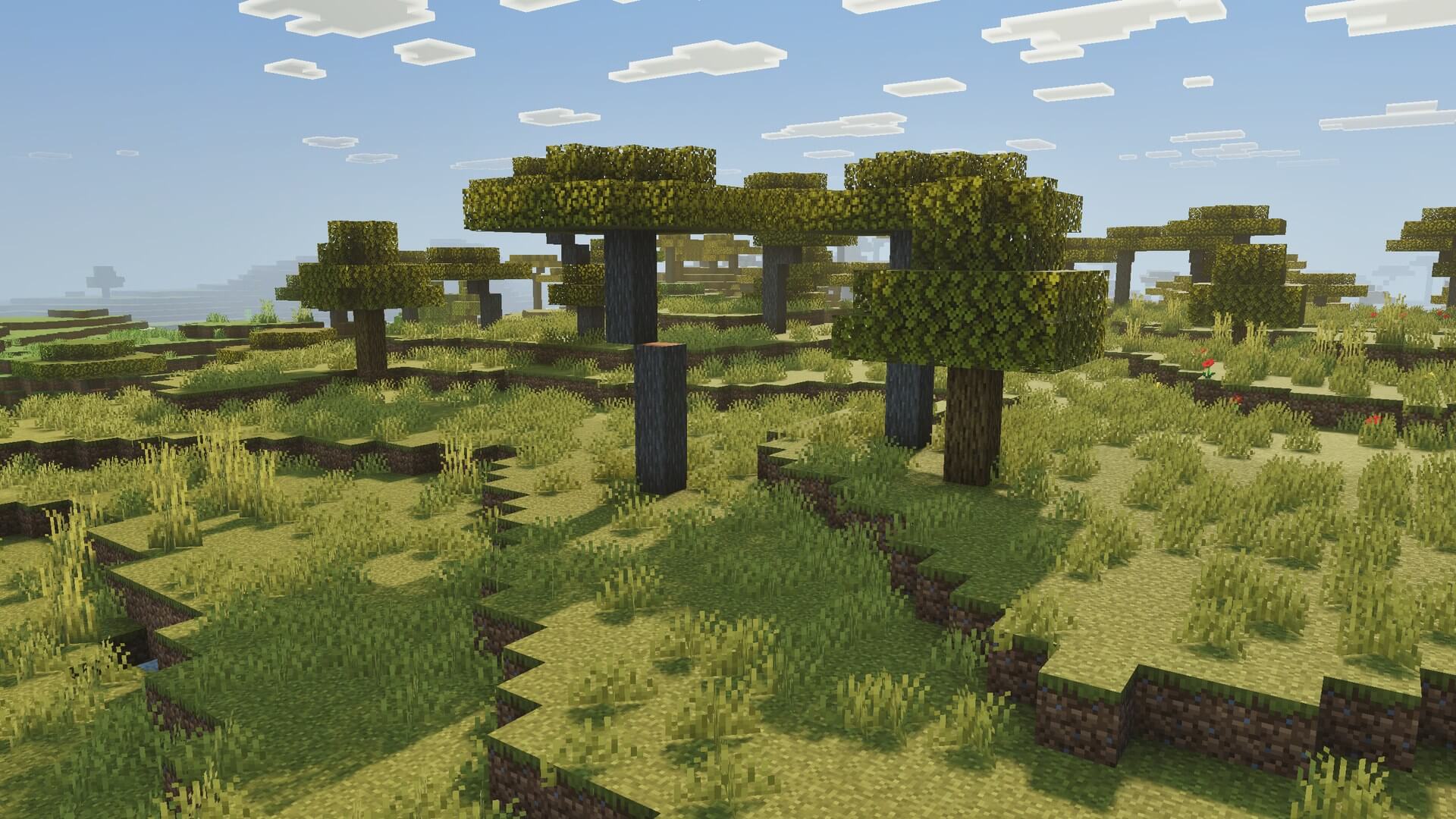 Luminous Dreams 6