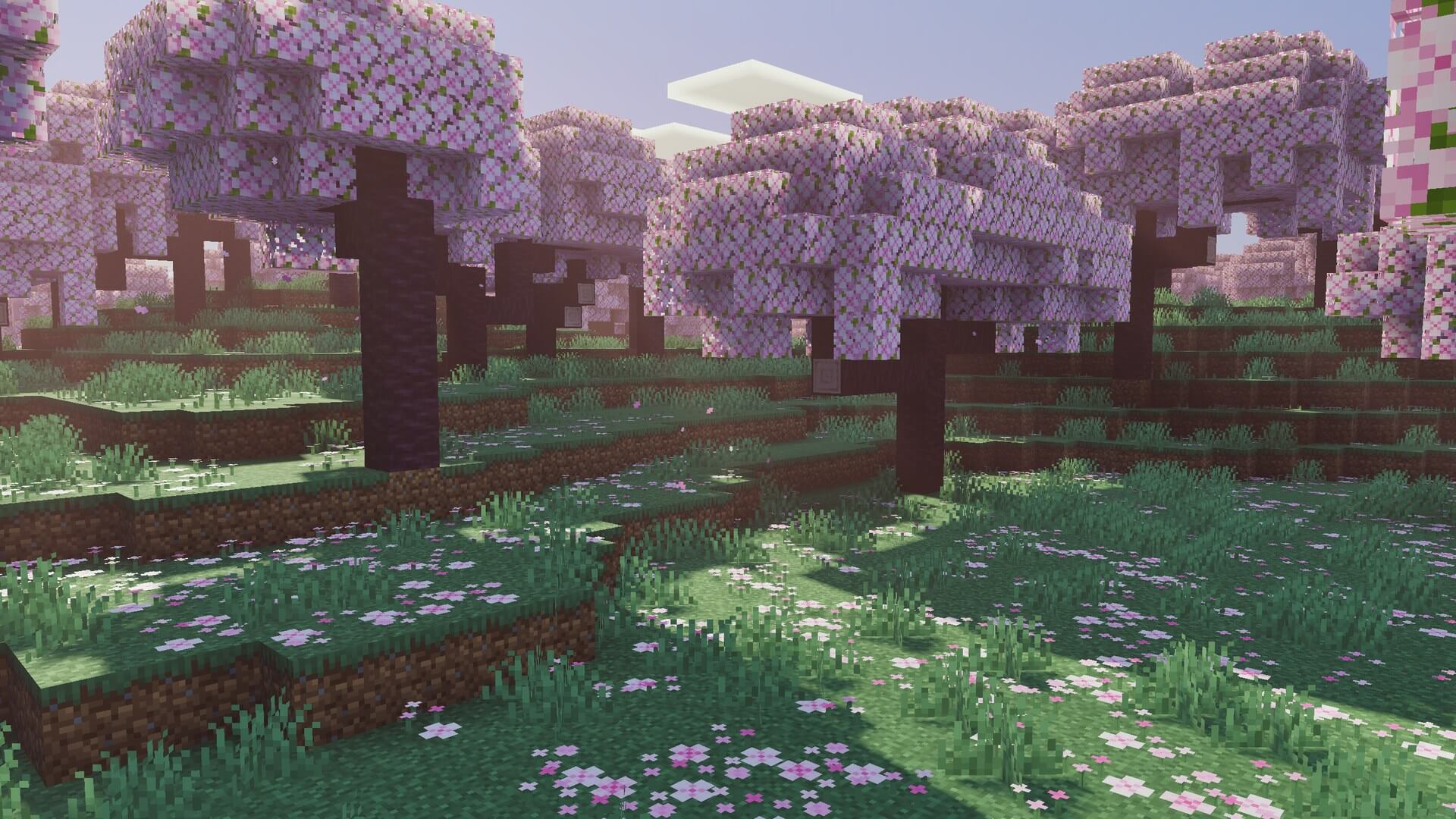 Luminous Dreams 7