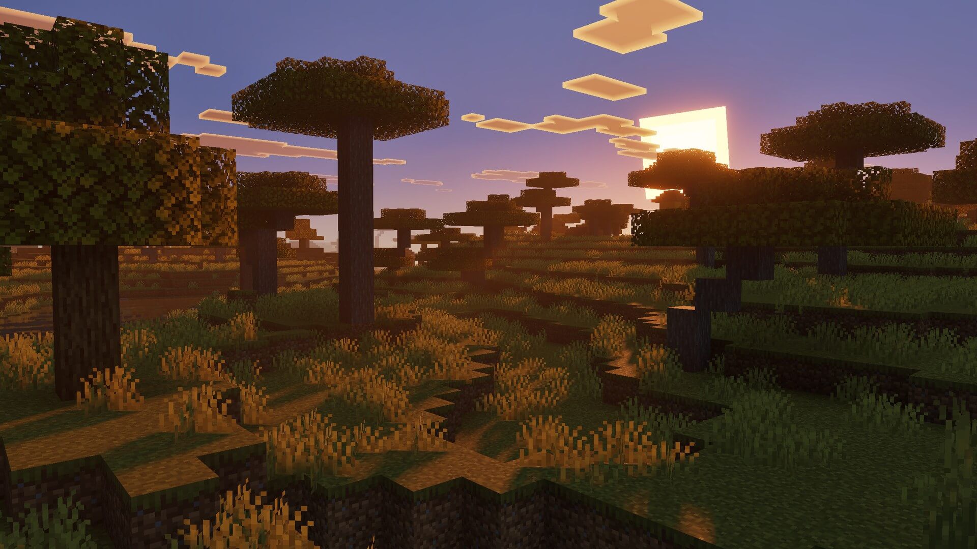 Luminous Dreams 8
