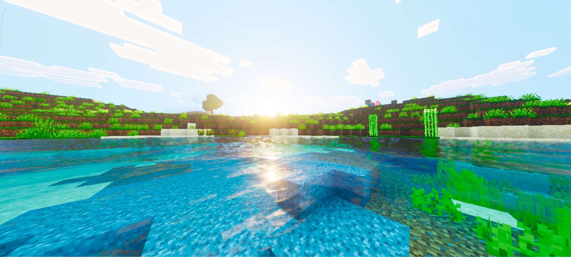 Nexora Visuals 3