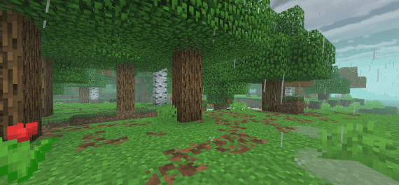 RG Shader 5