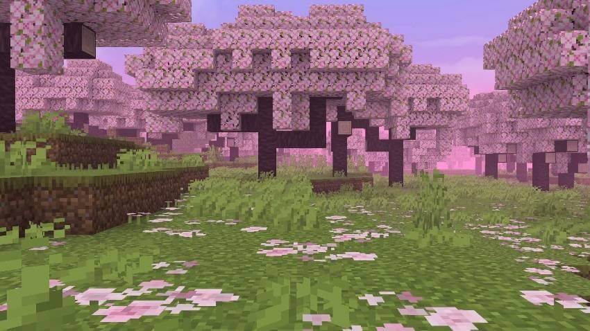 RG Shader 7
