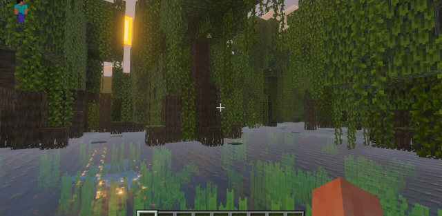 Seed: Endless Mangrove Wilds