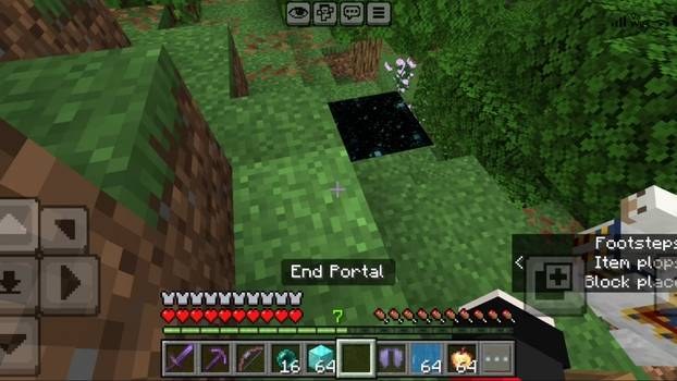 Wandering Trader OP Items 1