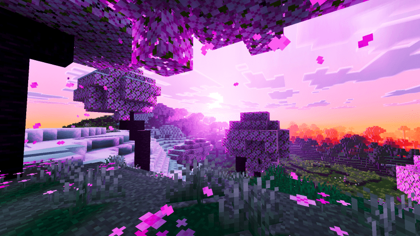Reze Visuals 3