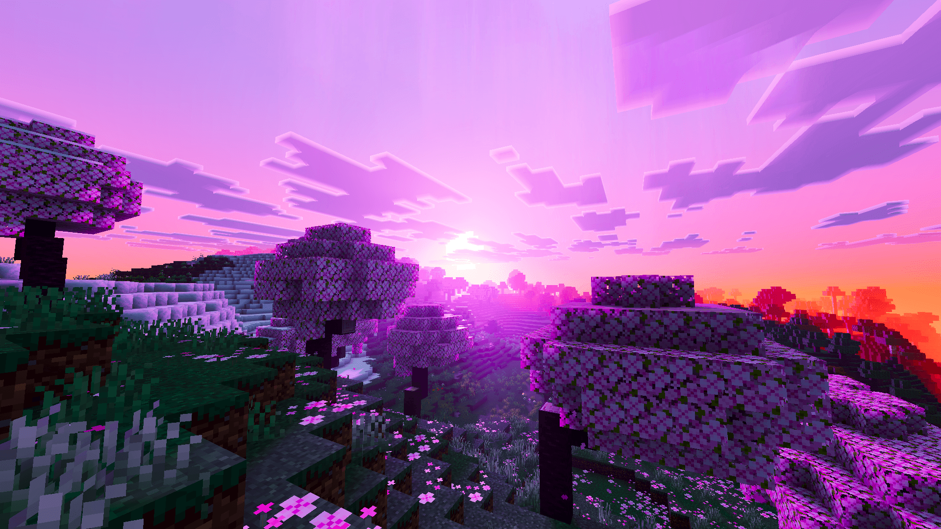 Reze Visuals 1