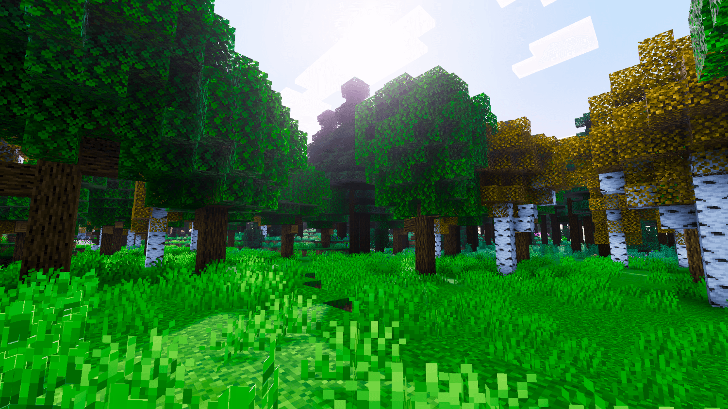 Reze Visuals 1