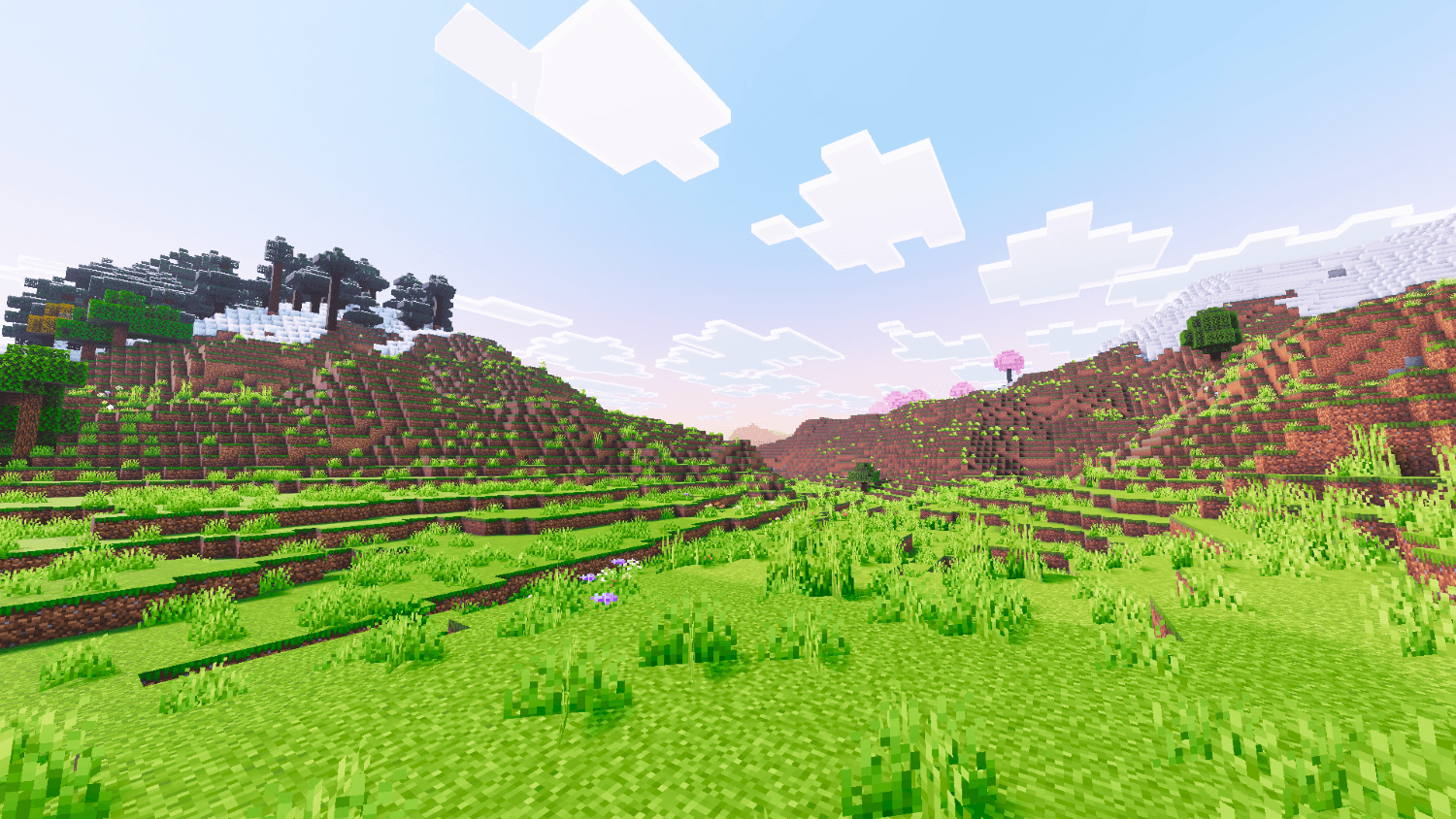 Reze Visuals 2