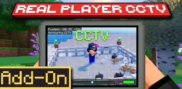 Addon: Real Player CCTV