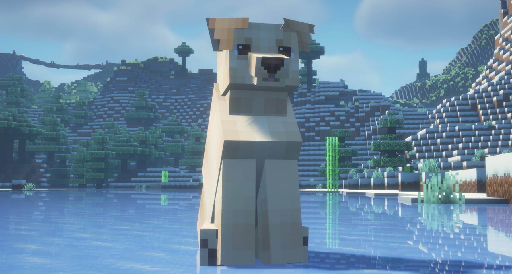 Refined Dogs 1