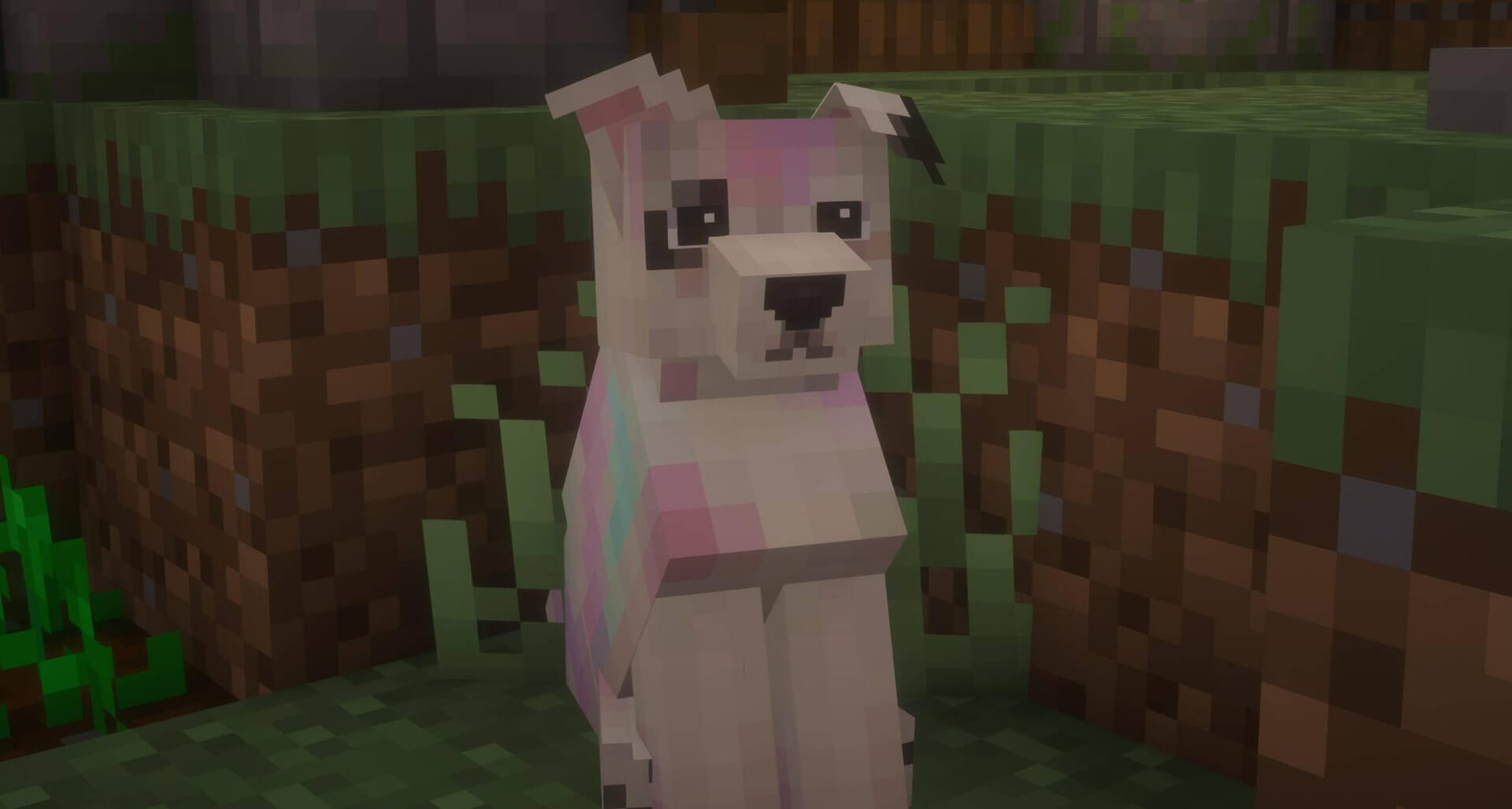 Refined Dogs 1
