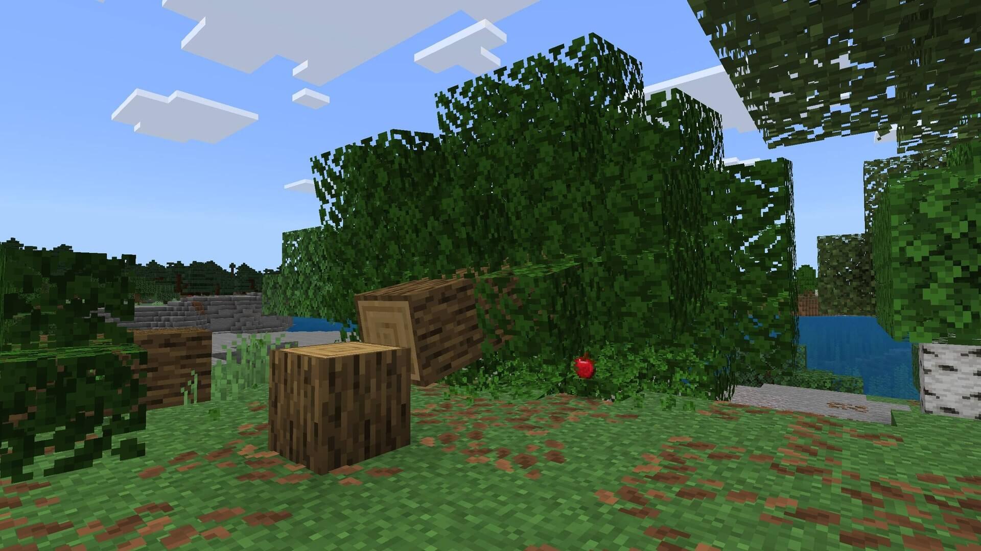 Tree Physics 1