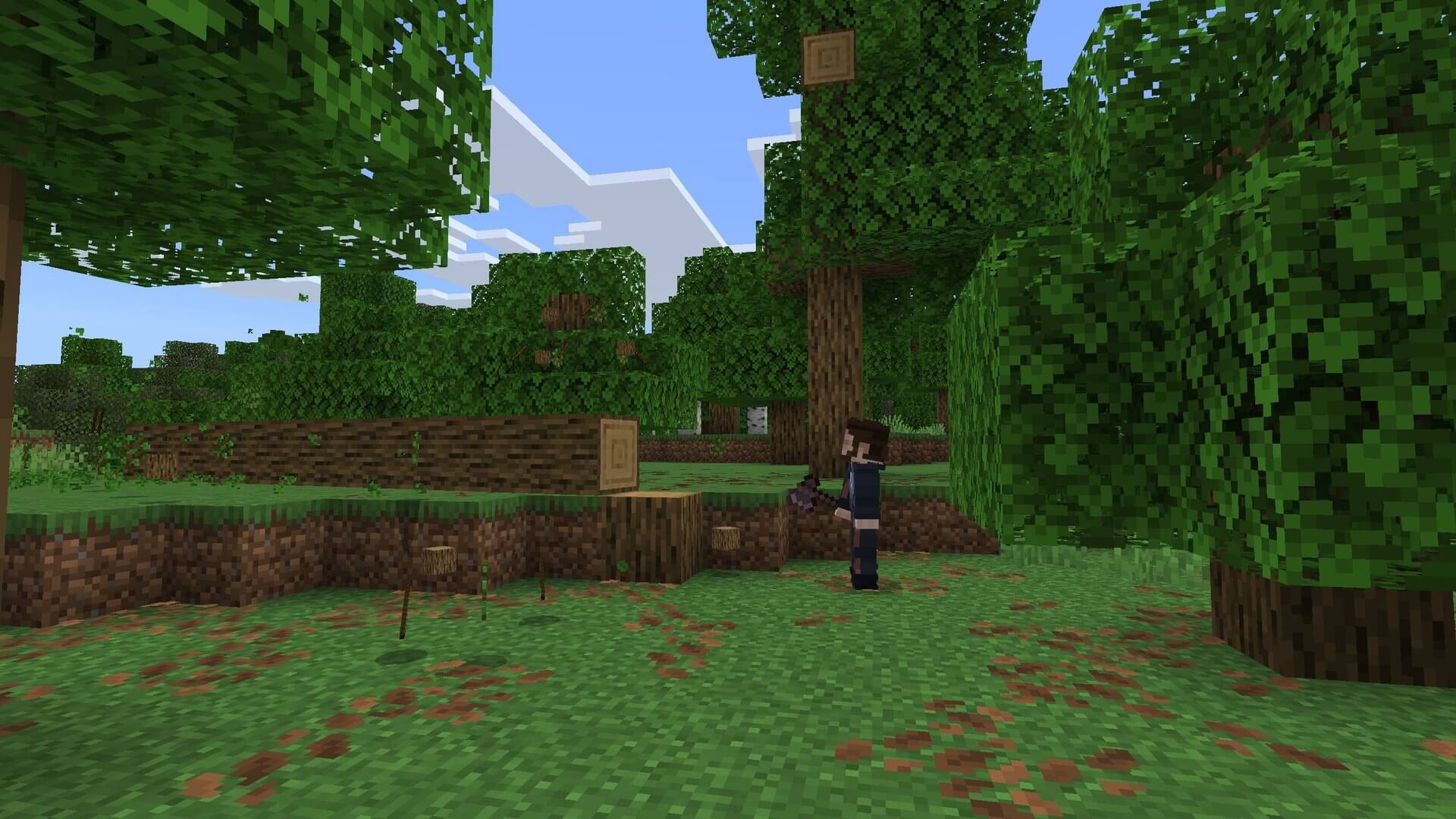 Tree Physics 2