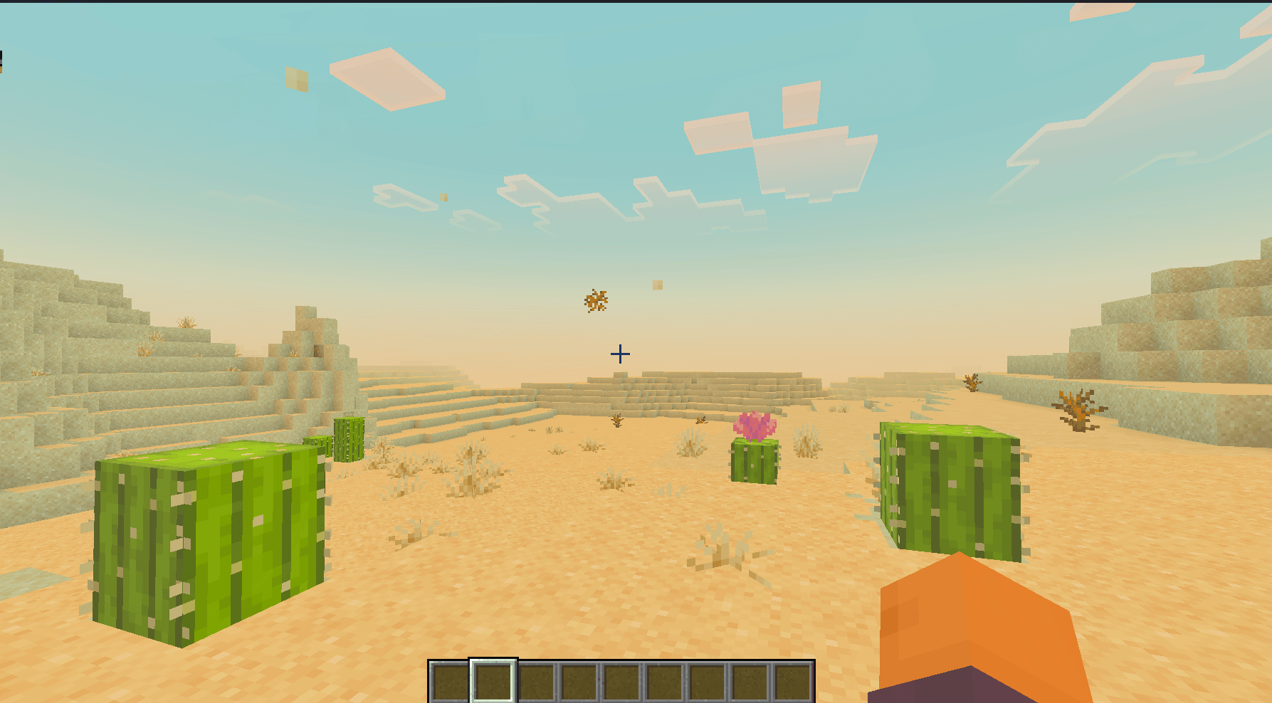 Biomes Particles 1