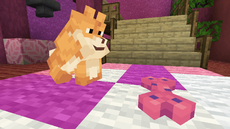 Owningfour cuter dog (survival friendly) 1