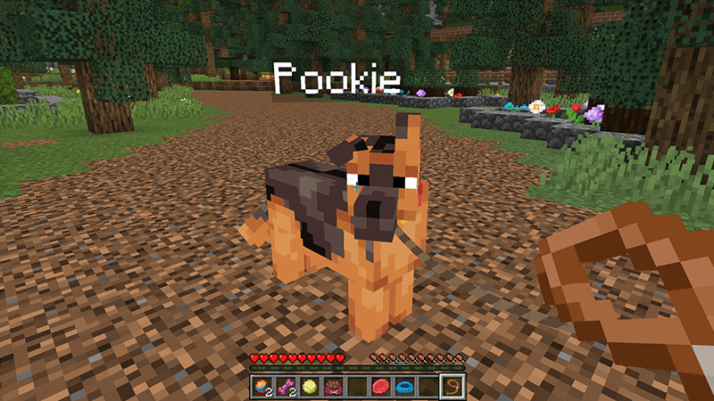 Owningfour cuter dog (survival friendly) 1