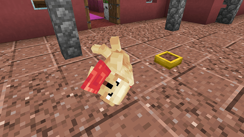 Owningfour cuter dog (survival friendly) 1