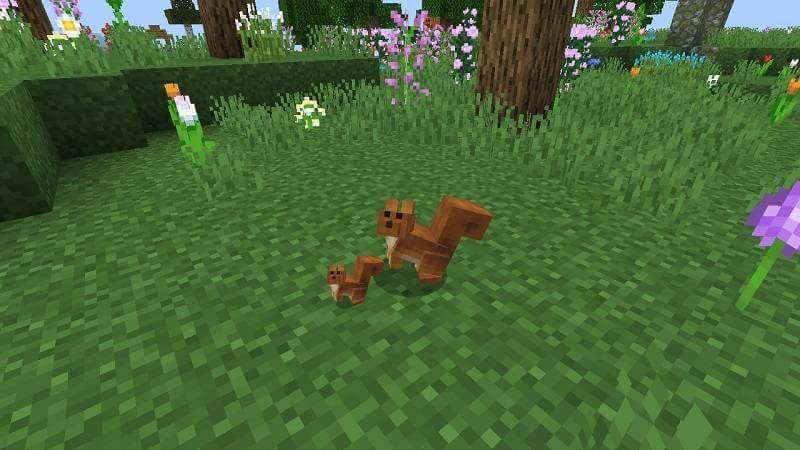 Nico's Mobs 1