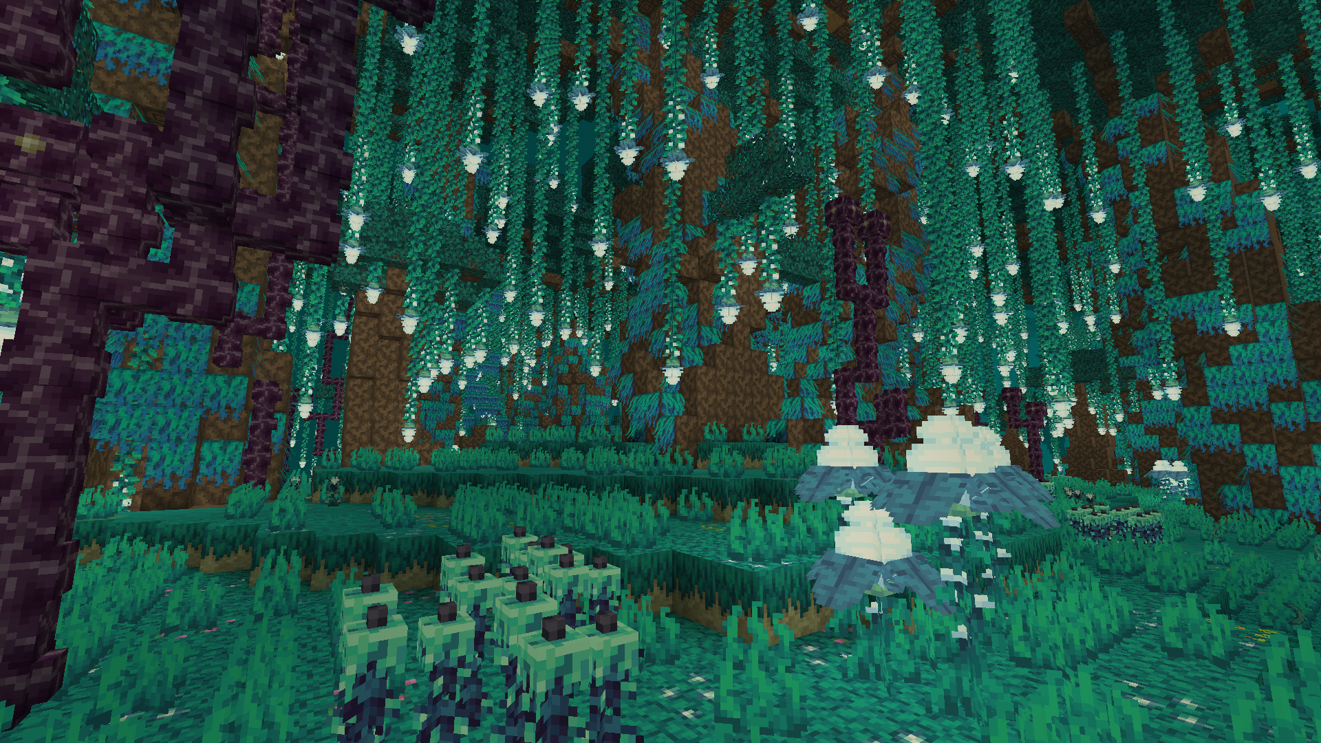 Better on Bedrock 1