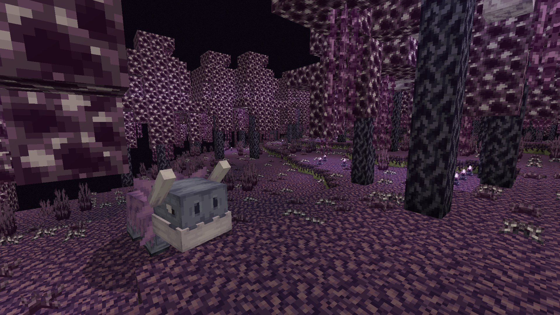 Better on Bedrock 1