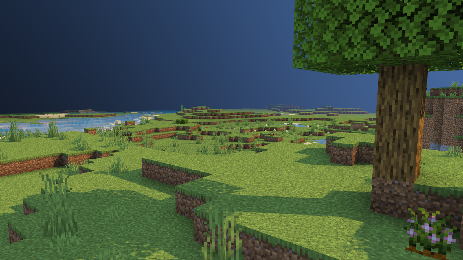 Better on Bedrock 1