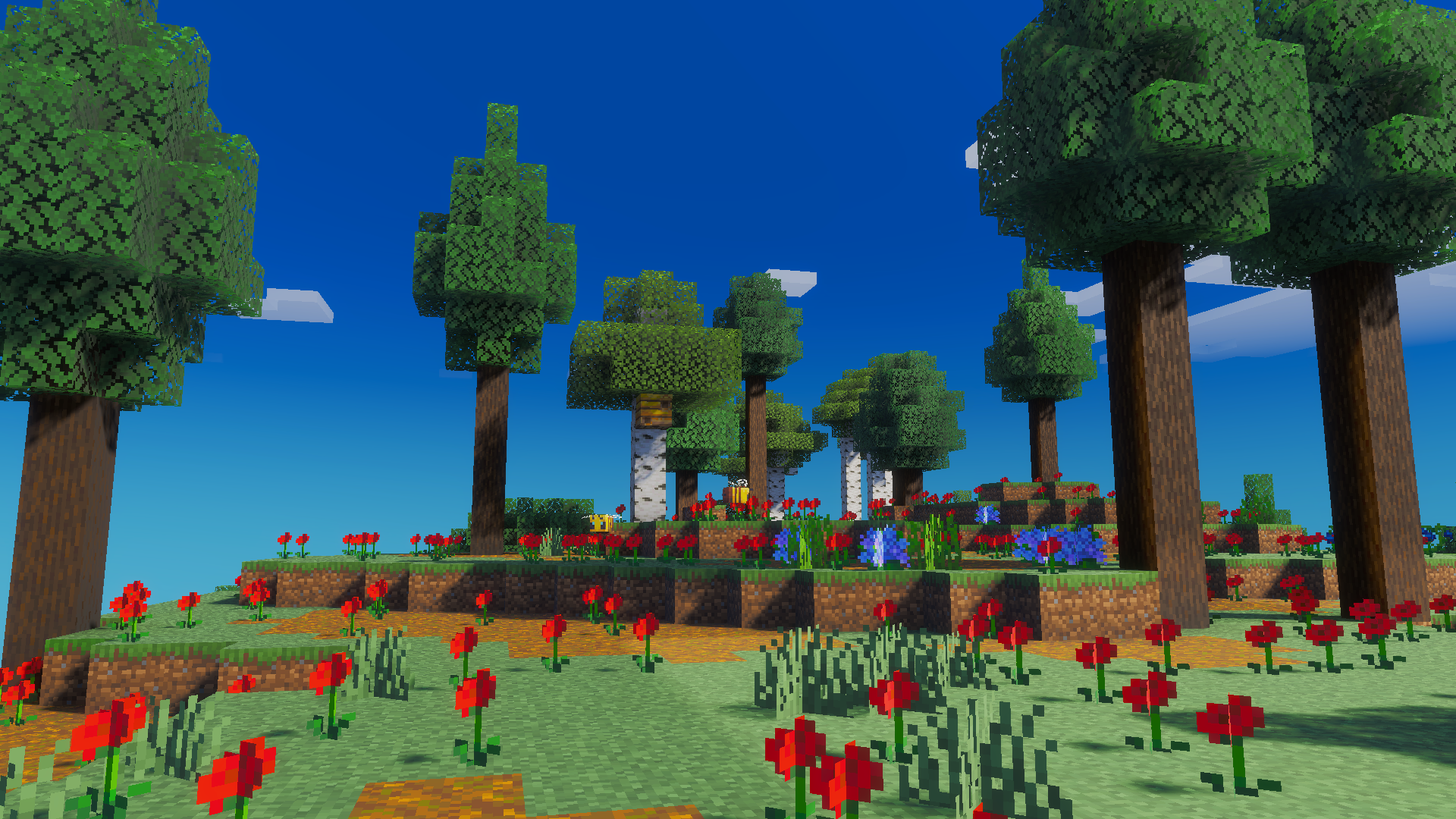 Better on Bedrock 1