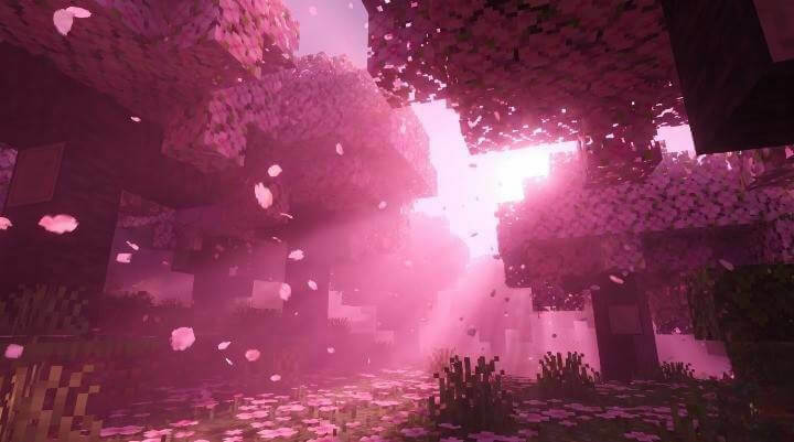 BiomeAura Visuals 3