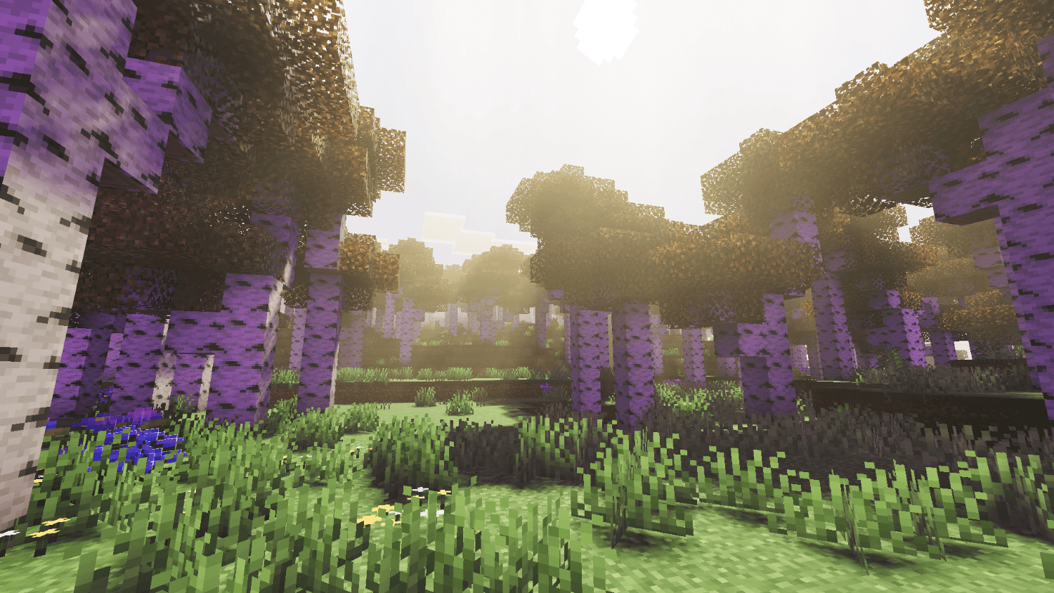 Epic Visuals 6