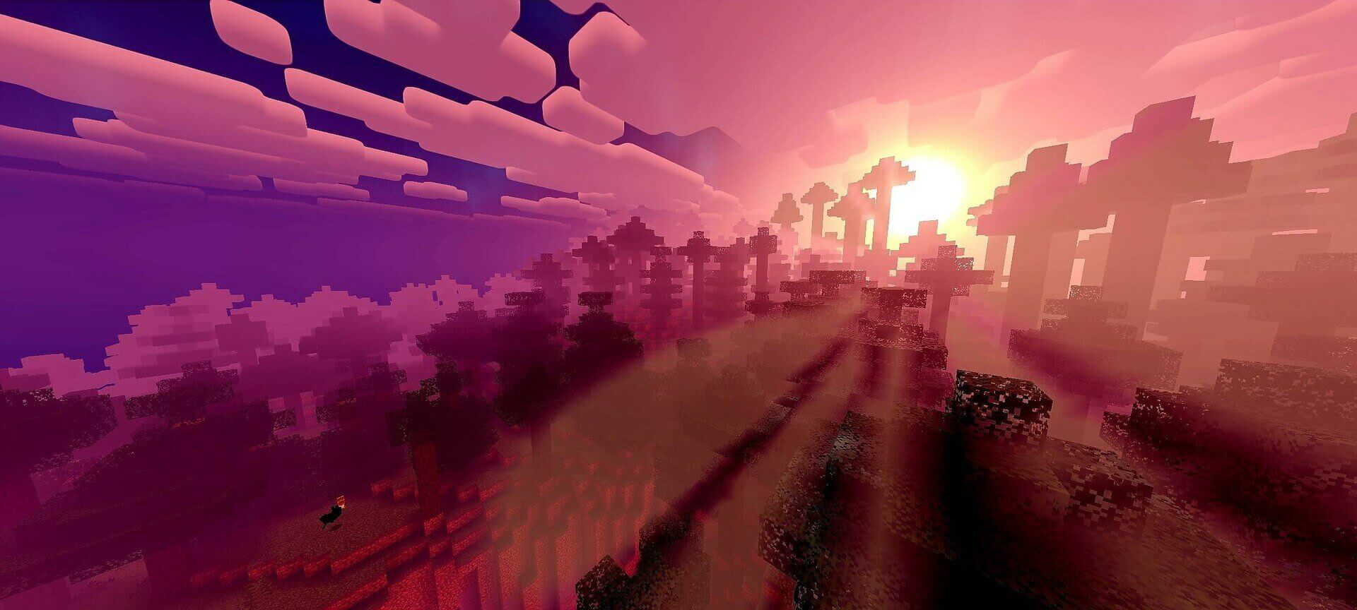 Newb CraftEdge 1
