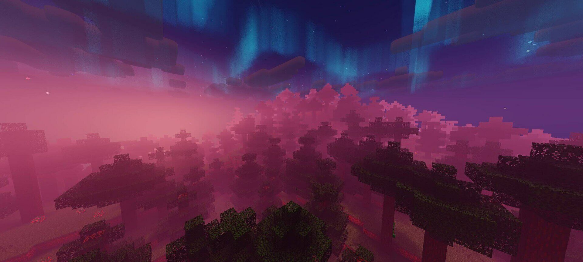 Newb CraftEdge 3