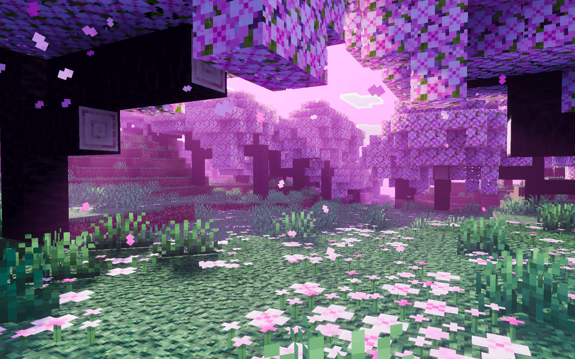 Spectral Horizons 4