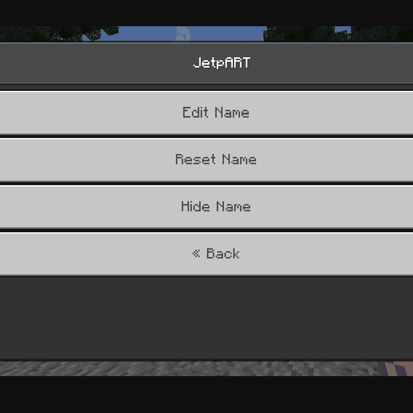 PopChat + PlayerRename - 3