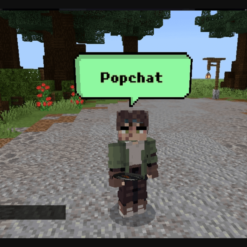 PopChat + PlayerRename - 1