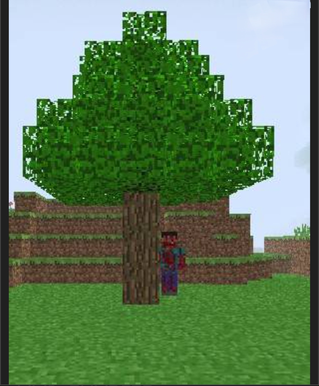 Addon: Steve.‽‽‽